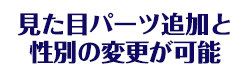 見た目パーツ追加と性別の変更が可能